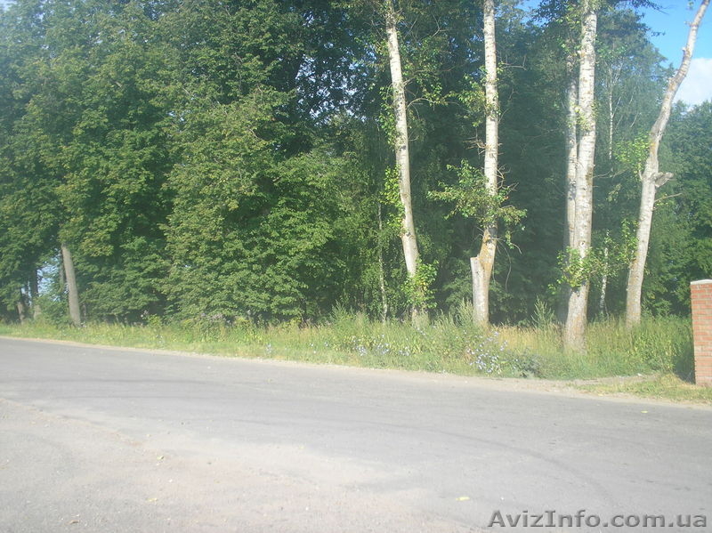 ЗЕМЕЛЬНЫЙ УЧАСТОК ОТ СОБСТВЕННИКА - <ro>Изображение</ro><ru>Изображение</ru> #4, <ru>Объявление</ru> #213526