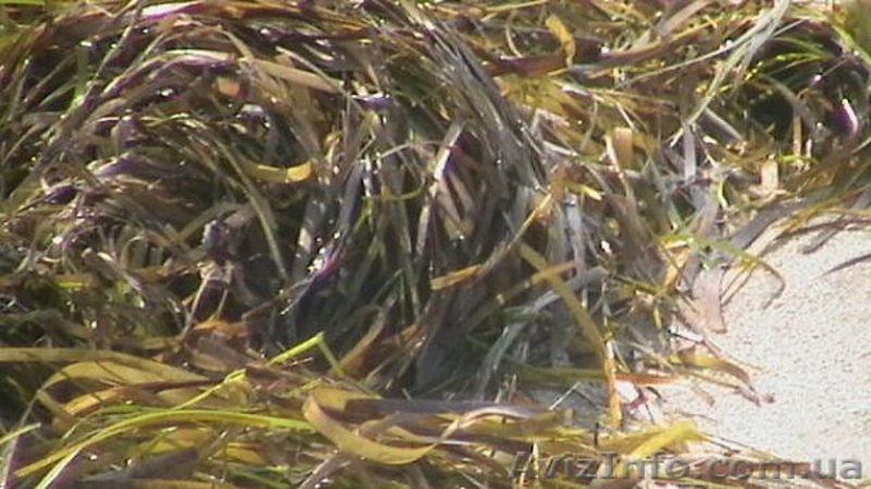 Утеплитель из камки в матах - <ro>Изображение</ro><ru>Изображение</ru> #1, <ru>Объявление</ru> #232785