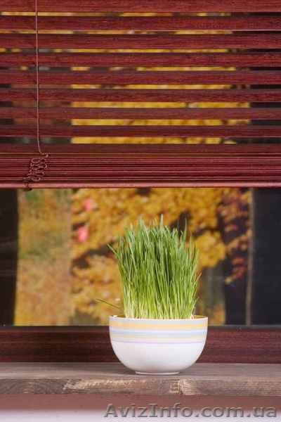 Деревянные и бамбуковые жалюзи, недорого. Симферополь, Крым - <ro>Изображение</ro><ru>Изображение</ru> #1, <ru>Объявление</ru> #301653