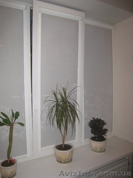 Продажа и установка жалюзи для металлопластиковых окон. Симферополь, Крым. - <ro>Изображение</ro><ru>Изображение</ru> #4, <ru>Объявление</ru> #301678