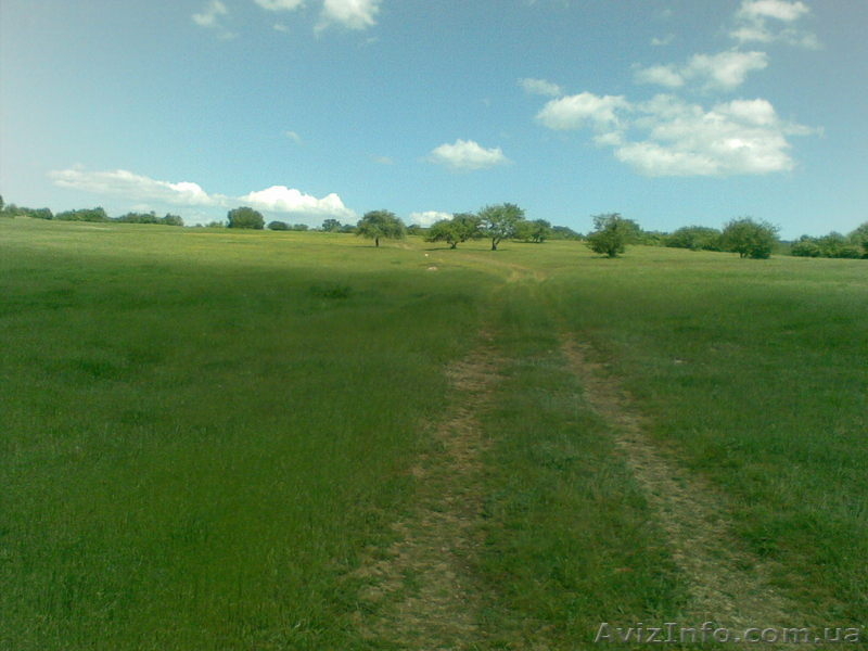 земля симферополь - <ro>Изображение</ro><ru>Изображение</ru> #1, <ru>Объявление</ru> #315929