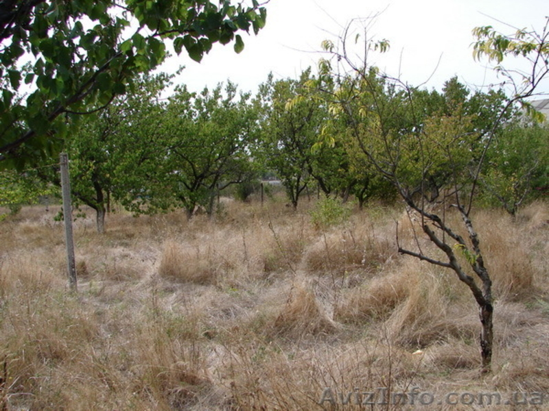 дачный участок 9,5 соток - <ro>Изображение</ro><ru>Изображение</ru> #3, <ru>Объявление</ru> #407786