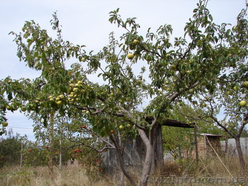 дачный участок 9,5 соток - <ro>Изображение</ro><ru>Изображение</ru> #4, <ru>Объявление</ru> #407786