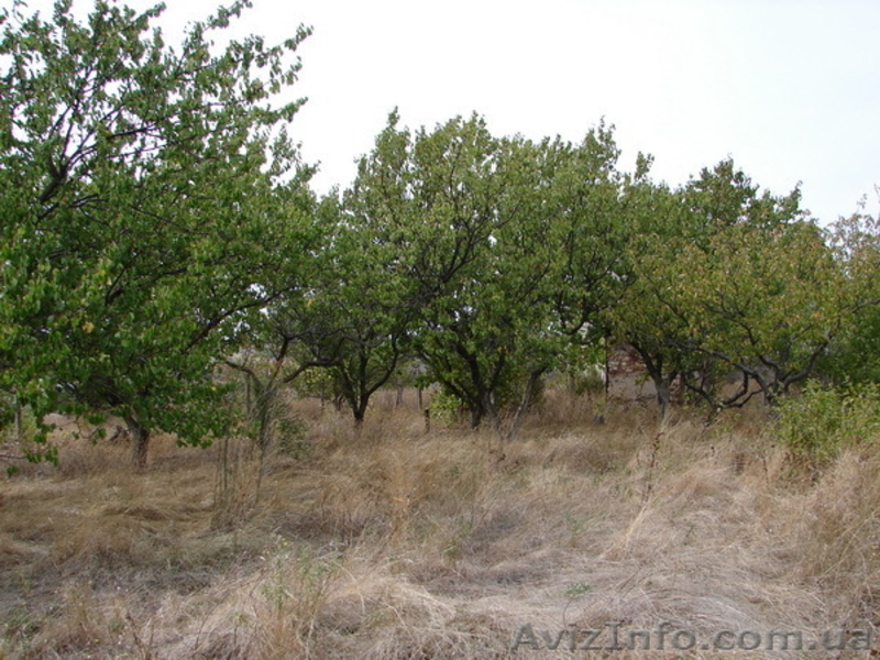 дачный участок 9,5 соток - <ro>Изображение</ro><ru>Изображение</ru> #7, <ru>Объявление</ru> #407786
