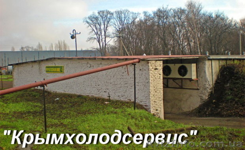 Строительство фруктохранилищ - <ro>Изображение</ro><ru>Изображение</ru> #2, <ru>Объявление</ru> #509170