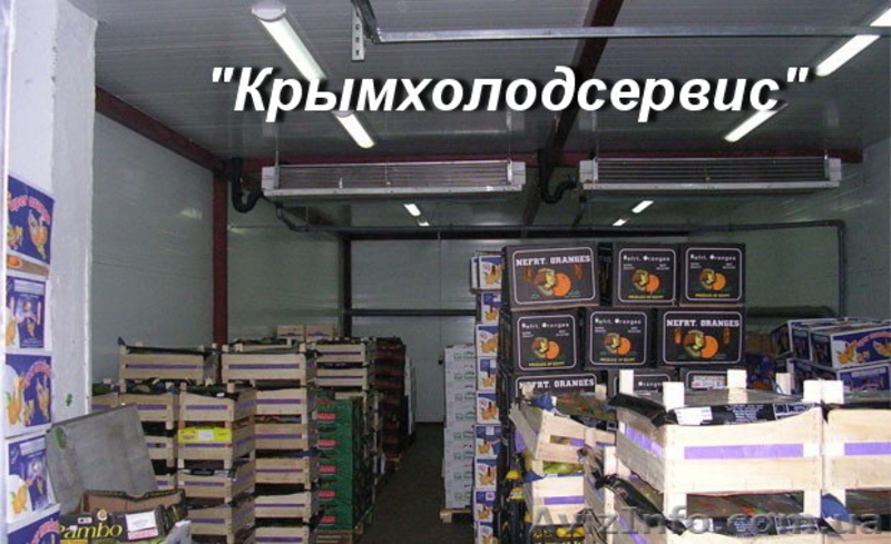 Строительство фруктохранилищ - <ro>Изображение</ro><ru>Изображение</ru> #5, <ru>Объявление</ru> #509170