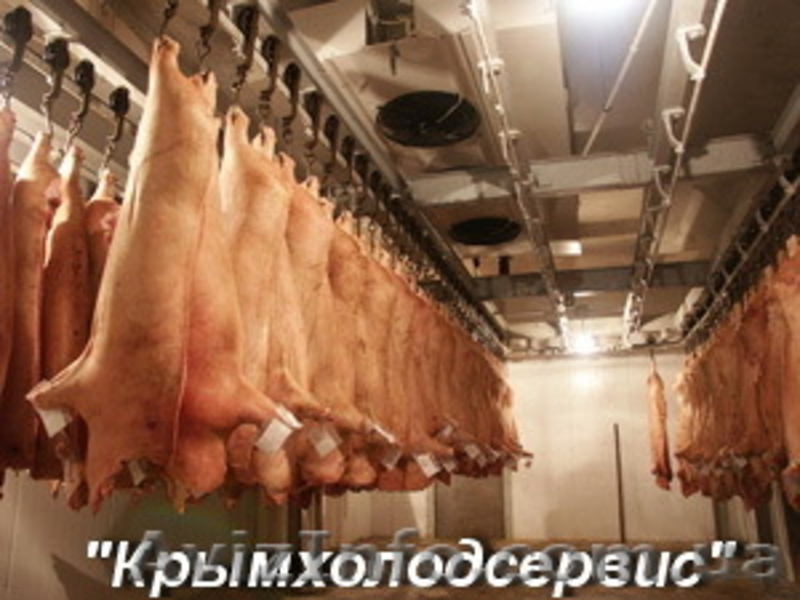 Камеры шоковой заморозки - <ro>Изображение</ro><ru>Изображение</ru> #4, <ru>Объявление</ru> #509179