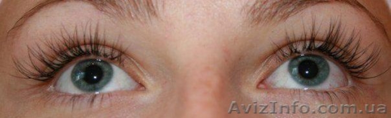 НАРАЩИВАНИЕ РЕСНИЦ ПО ЯПОНСКОЙ ТЕХНОЛОГИИ(ПО ОДНОЙ) - <ro>Изображение</ro><ru>Изображение</ru> #2, <ru>Объявление</ru> #553004