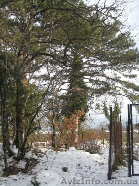 Продается участок 12,45 соток в Ялте,пос.Горное - <ro>Изображение</ro><ru>Изображение</ru> #1, <ru>Объявление</ru> #593501