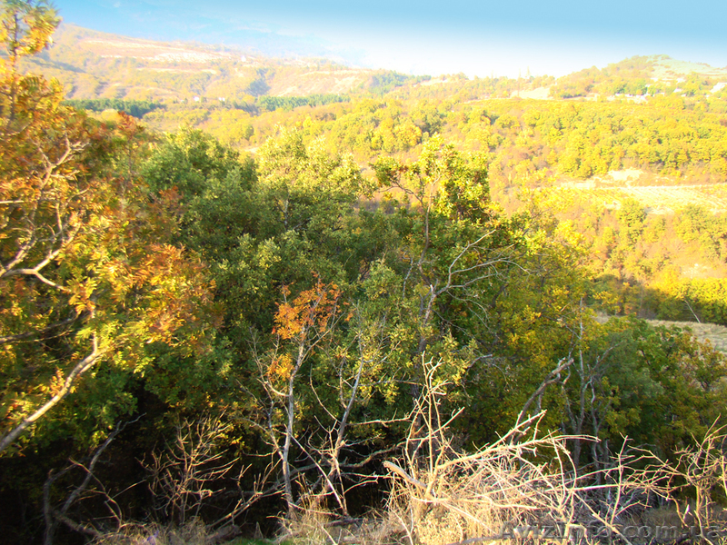 Продается участок 12 соток , между Партенитом и Гурзуфом - Крым - <ro>Изображение</ro><ru>Изображение</ru> #2, <ru>Объявление</ru> #592544