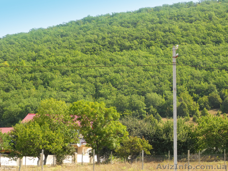 Продается участок в Орлином, 300 метров от озера - Крым - <ro>Изображение</ro><ru>Изображение</ru> #6, <ru>Объявление</ru> #592551