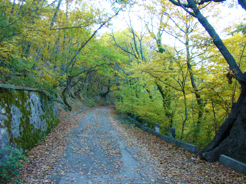Продается участок 12 соток , между Партенитом и Гурзуфом - Крым - <ro>Изображение</ro><ru>Изображение</ru> #4, <ru>Объявление</ru> #592544