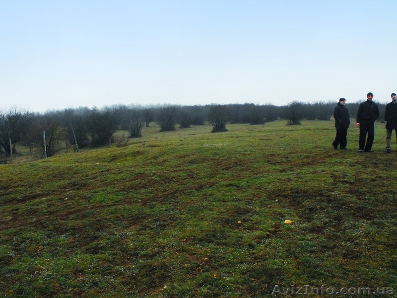 Продается участок в Новоульяновке, Бельбекская долина - Крым - <ro>Изображение</ro><ru>Изображение</ru> #4, <ru>Объявление</ru> #593299