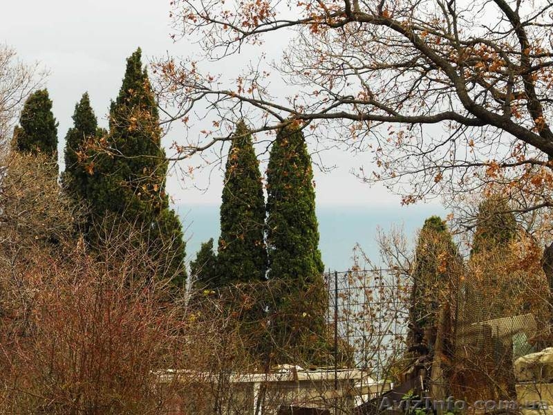 Продается участок в Алупке, 1 км от моря - Крым - <ro>Изображение</ro><ru>Изображение</ru> #2, <ru>Объявление</ru> #592500