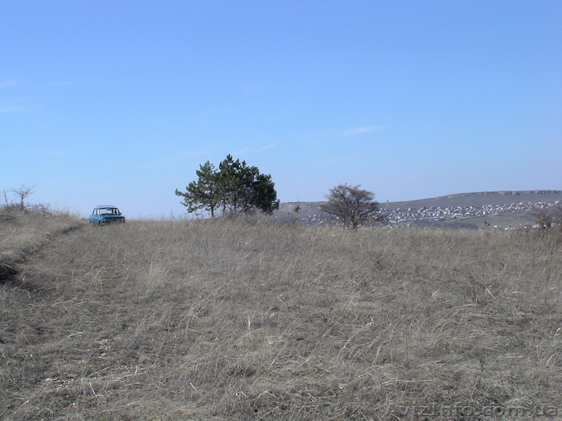 Лозовое 3 ст Дружба - <ro>Изображение</ro><ru>Изображение</ru> #1, <ru>Объявление</ru> #628520