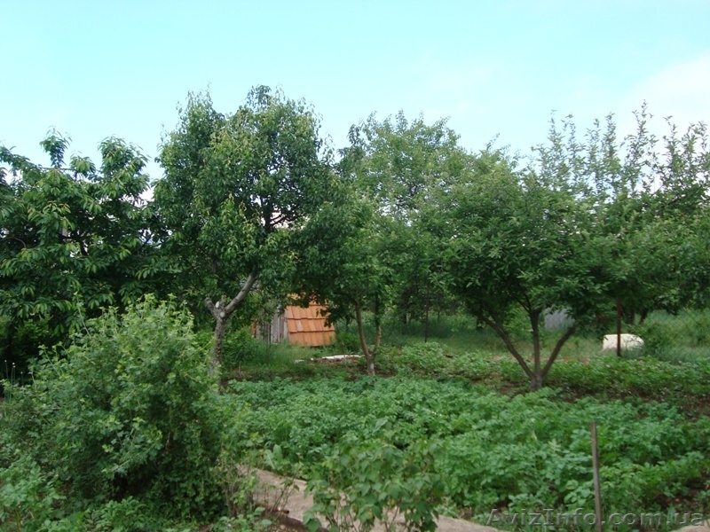 Продам дачу+ участок в Перевальном,14,5тыс.у.е. - <ro>Изображение</ro><ru>Изображение</ru> #5, <ru>Объявление</ru> #668511