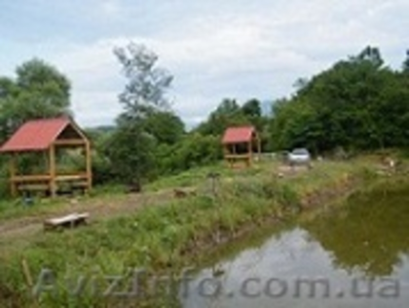 Рыбалка и отдых в Крыму, ловля карпа. - <ro>Изображение</ro><ru>Изображение</ru> #3, <ru>Объявление</ru> #652200