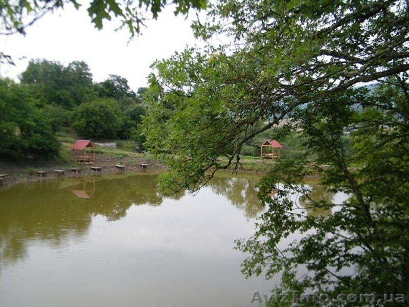 Рыбалка и отдых в Крыму, ловля карпа. - <ro>Изображение</ro><ru>Изображение</ru> #4, <ru>Объявление</ru> #652200