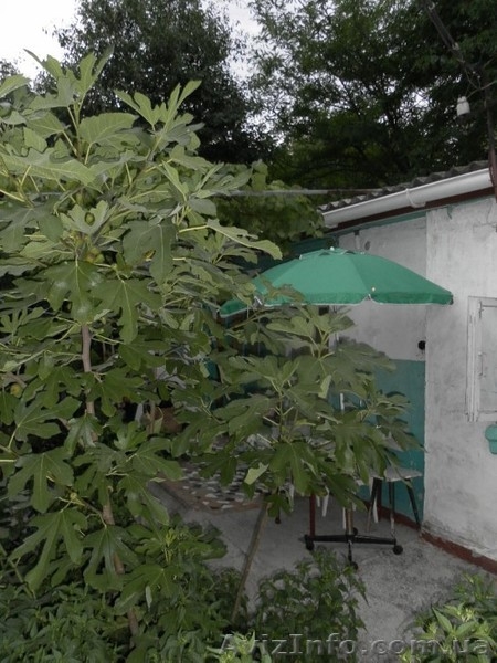 Феодосия. Комнаты в частном секторе, от хозяйки. - <ro>Изображение</ro><ru>Изображение</ru> #8, <ru>Объявление</ru> #215031