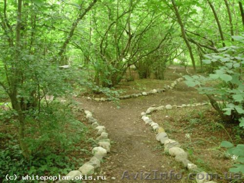 Сдаю номера, котедж  - <ro>Изображение</ro><ru>Изображение</ru> #9, <ru>Объявление</ru> #693949