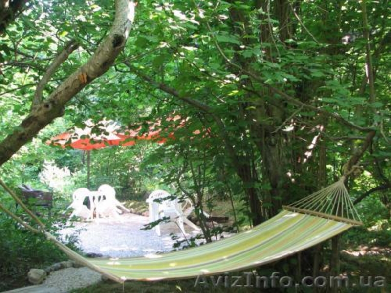 Сдаю номера, котедж  - <ro>Изображение</ro><ru>Изображение</ru> #1, <ru>Объявление</ru> #693949