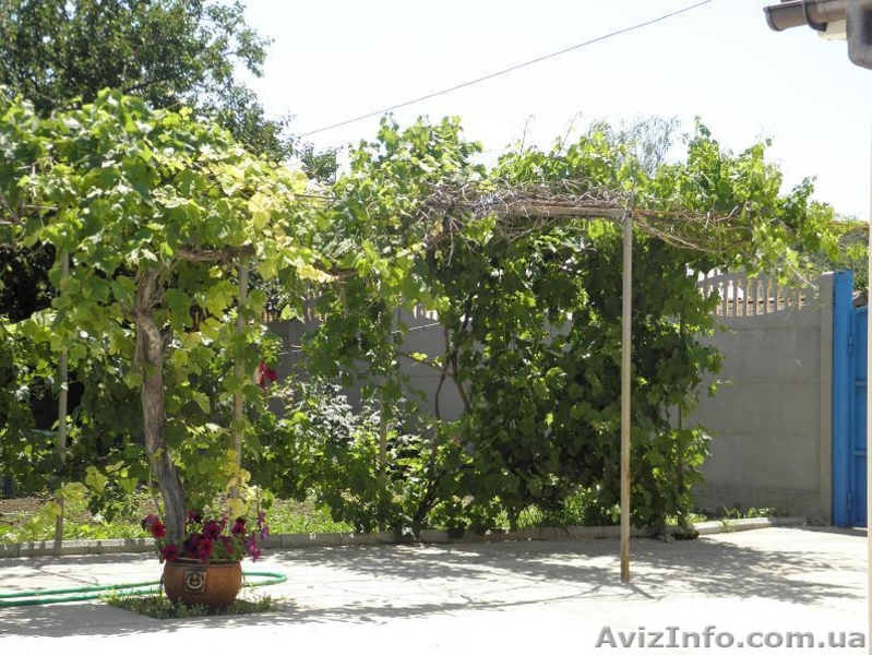 Частное домовладение “Солнечный” - <ro>Изображение</ro><ru>Изображение</ru> #1, <ru>Объявление</ru> #702186