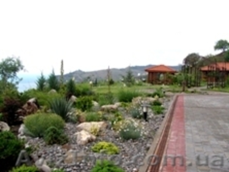 ДП "Терра Вита" - <ro>Изображение</ro><ru>Изображение</ru> #8, <ru>Объявление</ru> #715028