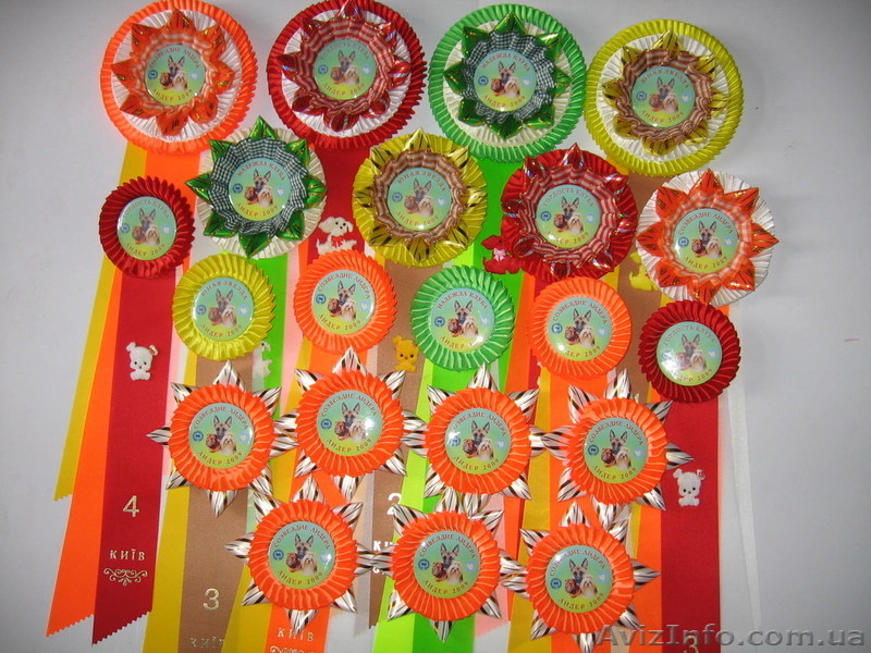 Наградные розетки,риббоны,значки,вымпела! Киев.Дешево! - <ro>Изображение</ro><ru>Изображение</ru> #2, <ru>Объявление</ru> #717617