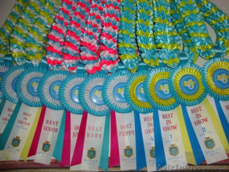 Наградные розетки,риббоны,значки,вымпела! Киев.Дешево! - <ro>Изображение</ro><ru>Изображение</ru> #6, <ru>Объявление</ru> #717617