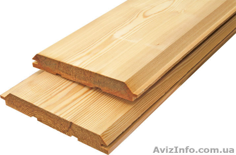 Лиственница сибирская Крым Симферополь Украина - <ro>Изображение</ro><ru>Изображение</ru> #5, <ru>Объявление</ru> #153140