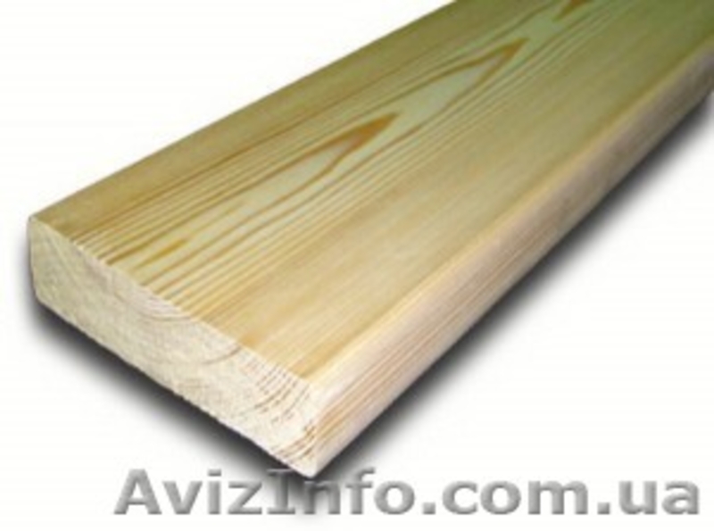 Лиственница сибирская Крым Симферополь Украина - <ro>Изображение</ro><ru>Изображение</ru> #3, <ru>Объявление</ru> #153140