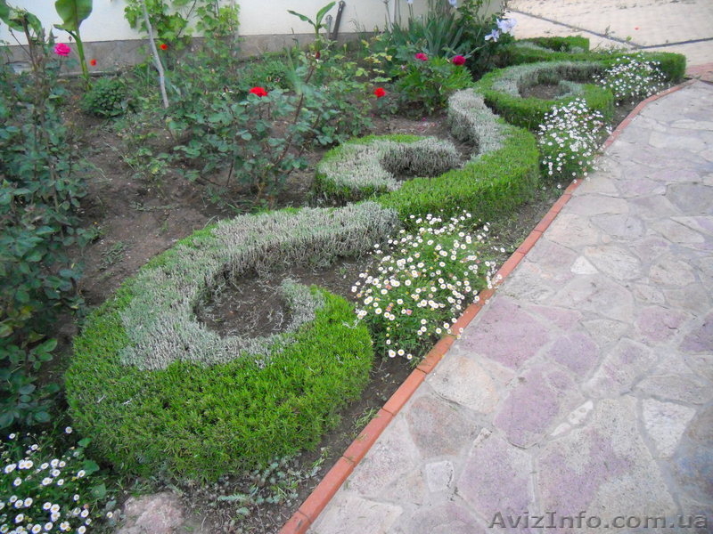 Ваши желания - в основе проекта ландшафтных работ, проводимых компанией ООО «В  - <ro>Изображение</ro><ru>Изображение</ru> #1, <ru>Объявление</ru> #741928