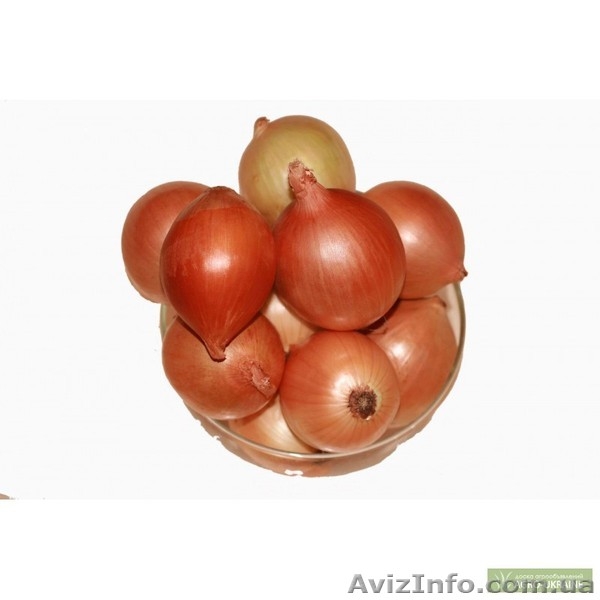 Лук репчатый оптом Крым - <ro>Изображение</ro><ru>Изображение</ru> #1, <ru>Объявление</ru> #748230