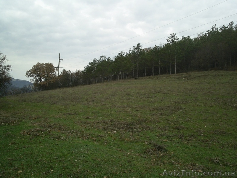 Земельный участок в красивейшей долине Крыма - <ro>Изображение</ro><ru>Изображение</ru> #3, <ru>Объявление</ru> #729488
