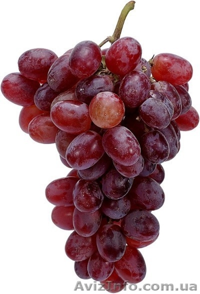 Виноград оптом Крым - <ro>Изображение</ro><ru>Изображение</ru> #1, <ru>Объявление</ru> #748229