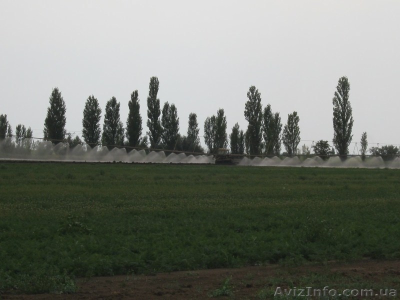 сельхозпредприятие 1200 га в Западном Крыму - <ro>Изображение</ro><ru>Изображение</ru> #1, <ru>Объявление</ru> #752387