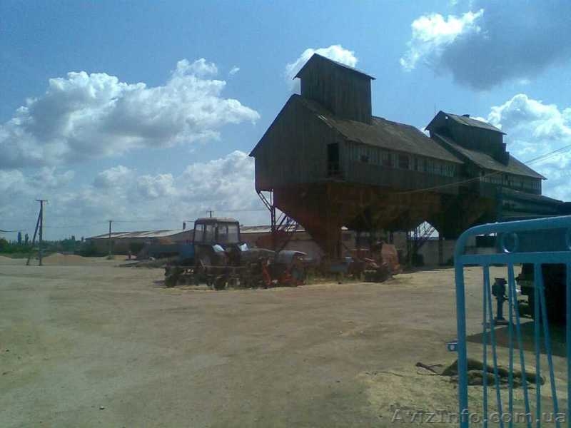 сельхозпредприятие 1200 га в Западном Крыму - <ro>Изображение</ro><ru>Изображение</ru> #3, <ru>Объявление</ru> #752387