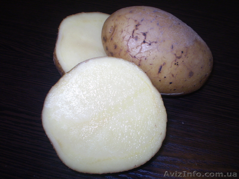 Сельхозпродукция от производителя - <ro>Изображение</ro><ru>Изображение</ru> #3, <ru>Объявление</ru> #646265