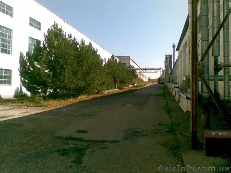 готовые качественные производственные помещения  - <ro>Изображение</ro><ru>Изображение</ru> #1, <ru>Объявление</ru> #768908
