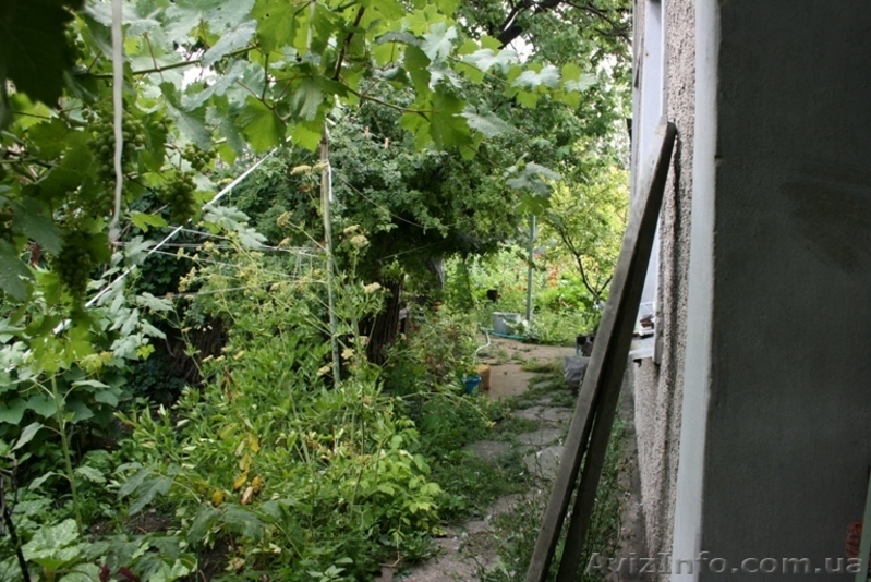 Своя квартира на земле - <ro>Изображение</ro><ru>Изображение</ru> #2, <ru>Объявление</ru> #779739