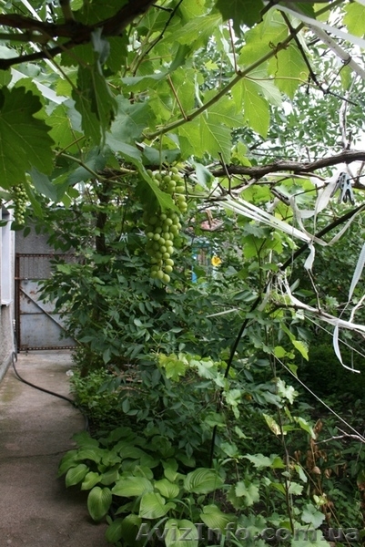 Свой Дом Киевский район, ост.Бородина - <ro>Изображение</ro><ru>Изображение</ru> #5, <ru>Объявление</ru> #780059