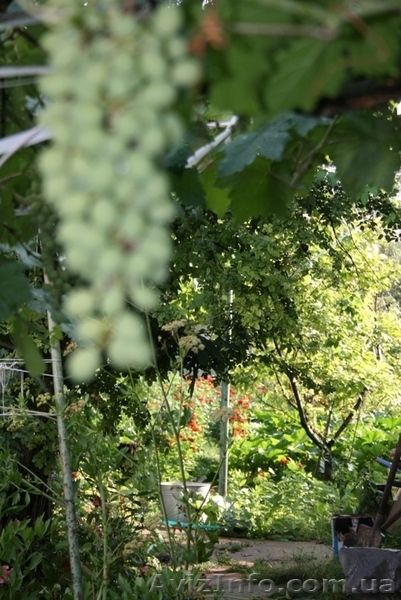 Своя квартира на земле - <ro>Изображение</ro><ru>Изображение</ru> #6, <ru>Объявление</ru> #779739