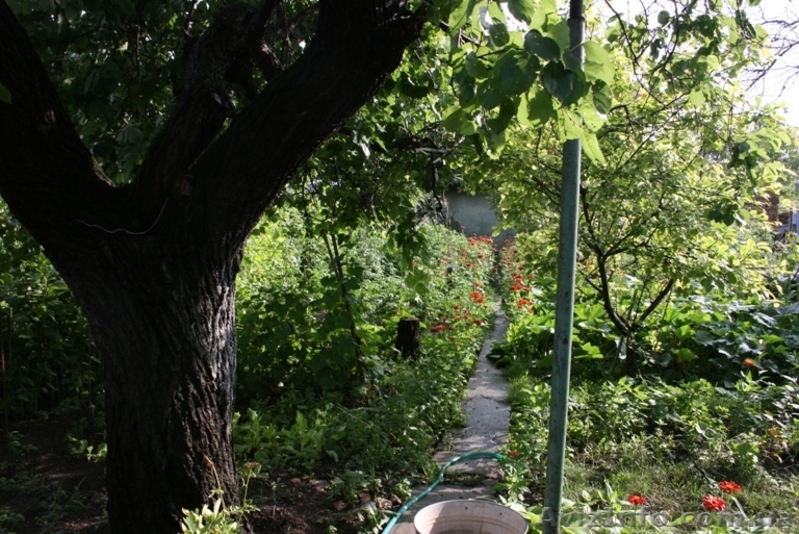 Свой Дом Киевский район, ост.Бородина - <ro>Изображение</ro><ru>Изображение</ru> #7, <ru>Объявление</ru> #780059