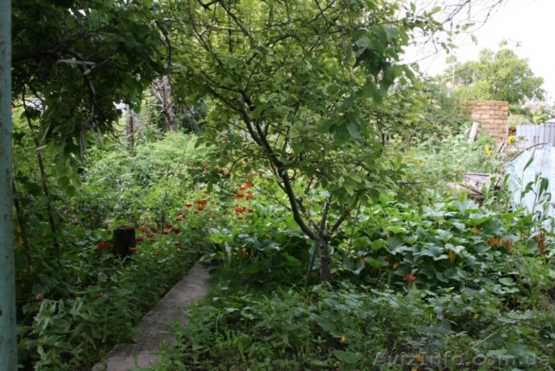 Свой Дом Киевский район, ост.Бородина - <ro>Изображение</ro><ru>Изображение</ru> #8, <ru>Объявление</ru> #780059