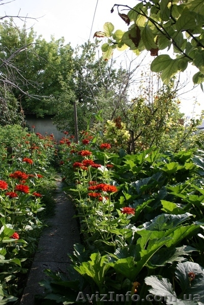 Своя квартира на земле - <ro>Изображение</ro><ru>Изображение</ru> #9, <ru>Объявление</ru> #779739