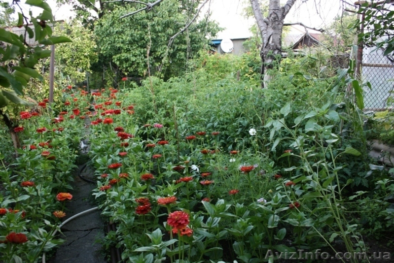 Своя квартира на земле - <ro>Изображение</ro><ru>Изображение</ru> #10, <ru>Объявление</ru> #779739