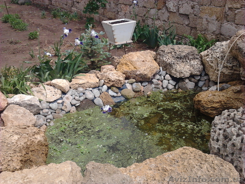 Попутный груз из Крыма - <ro>Изображение</ro><ru>Изображение</ru> #6, <ru>Объявление</ru> #808605