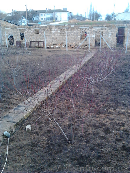 камень-ракушка (не кондиция)с доставкой. - <ro>Изображение</ro><ru>Изображение</ru> #3, <ru>Объявление</ru> #772728