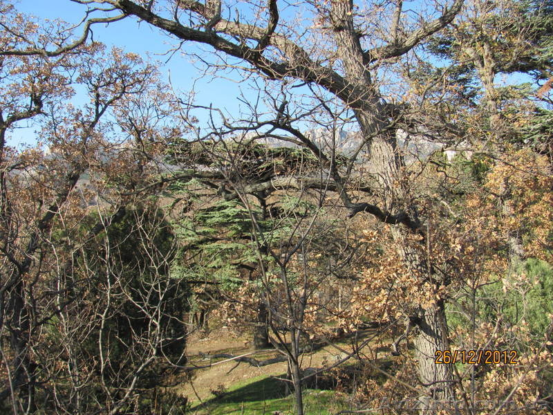 Предлагаю от хозяина 2 сотых  - <ro>Изображение</ro><ru>Изображение</ru> #4, <ru>Объявление</ru> #844654