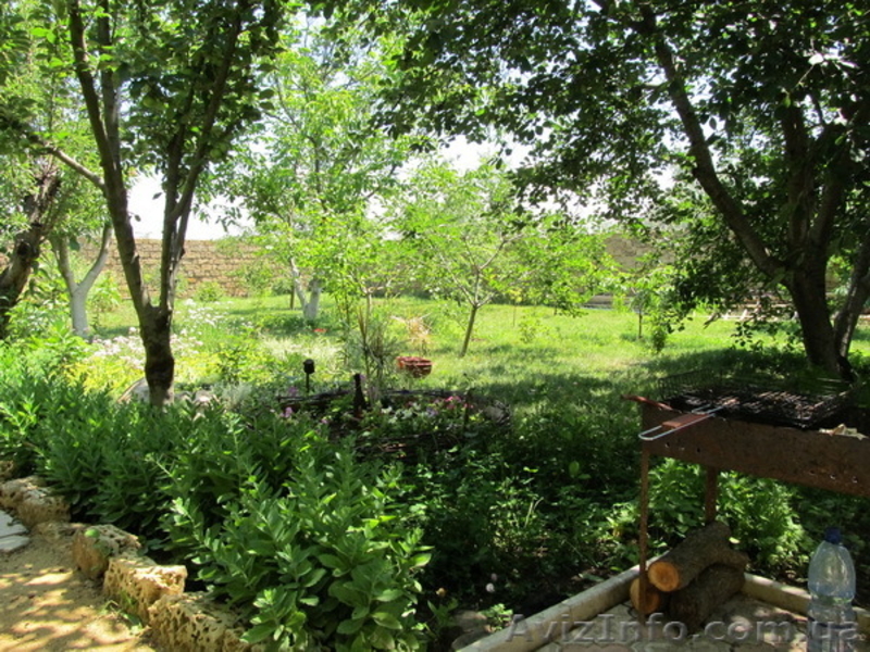 Гостинный двор  Фруктовый Сад  - <ro>Изображение</ro><ru>Изображение</ru> #3, <ru>Объявление</ru> #864985